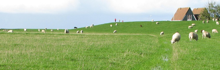leverbotland Hielpen