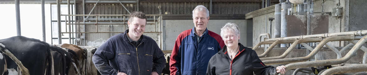 harry en tecla driessen