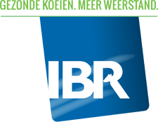 IBR