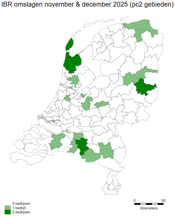 ibr omslagen nov en dec 2025