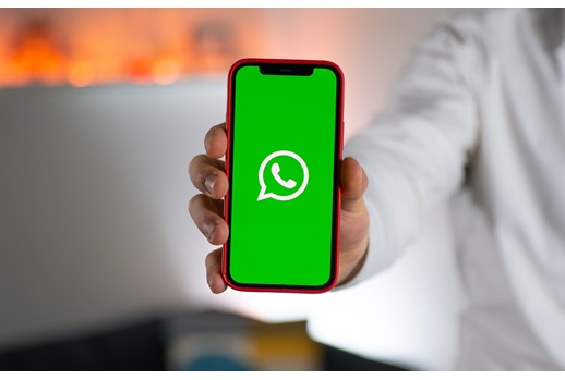 Aanmelden WhatsApp-groep zeugen- en vleesvarkenshouders