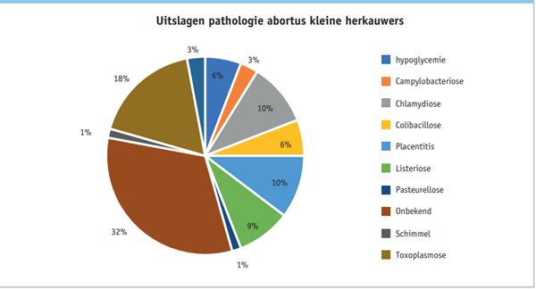 Uitslagen pathologie abortus kleine herkauwers 