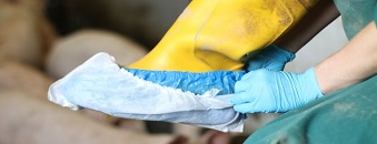 Slofjesmethode salmonellaonderzoek