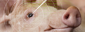 PRRS-scan