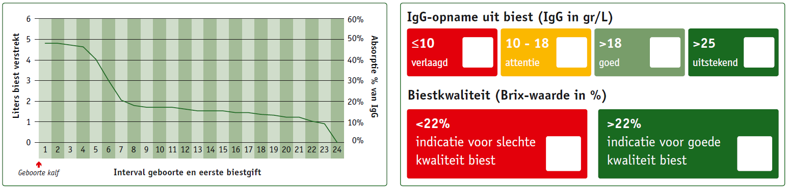 biest tool