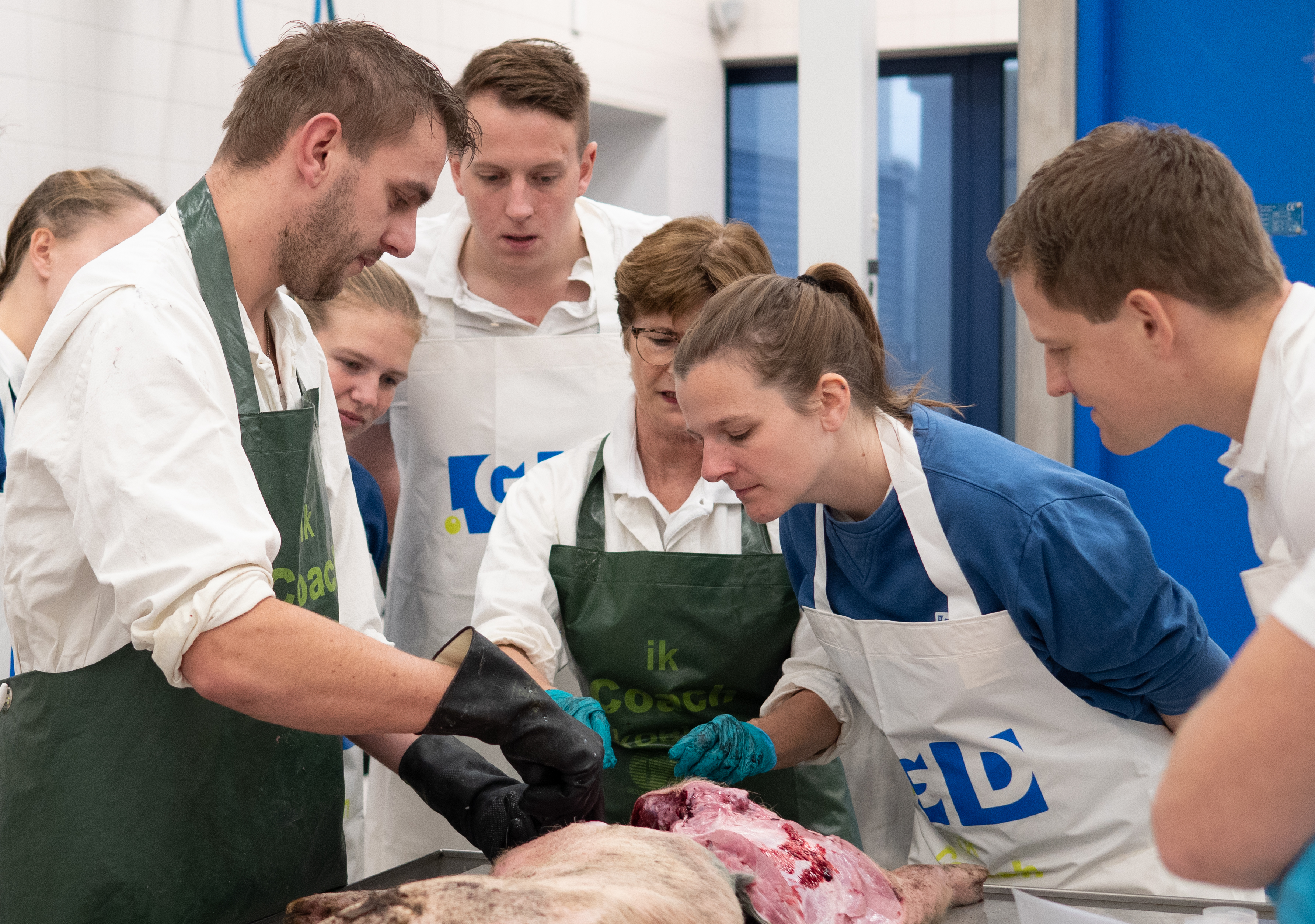 Cursus jonge dierenartsen 1